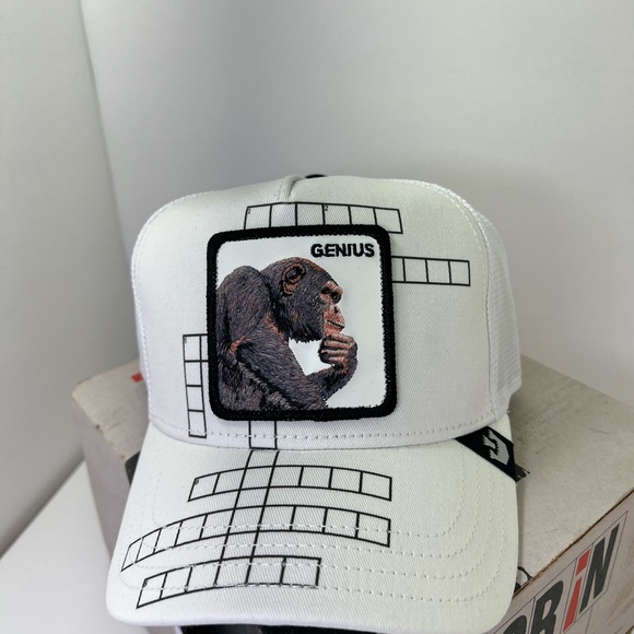 Goorin Bros Genius hat - Picture 2 of 7